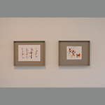 images/hameiri-schapiro07.jpg