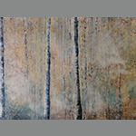 Homepage Andrea Schumacher